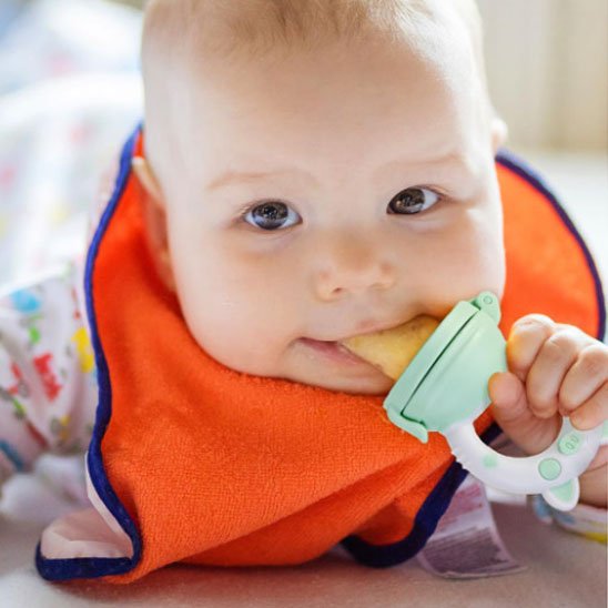 Grignoteuse bébé ergonomique vert